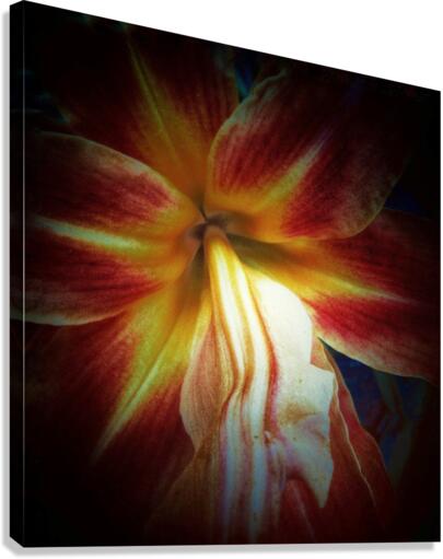 V670 Canvas Print