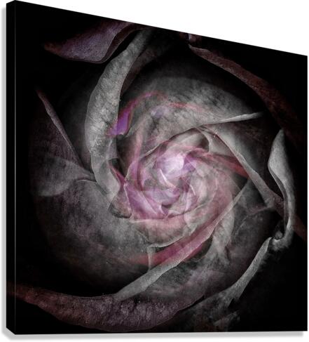 V675 Canvas Print