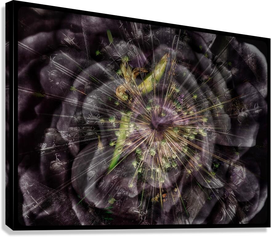 V676 Canvas Print