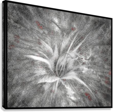 V677 Canvas Print