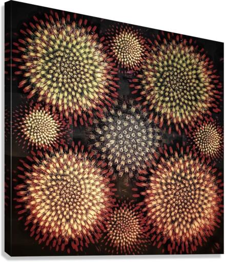 V678 Canvas Print