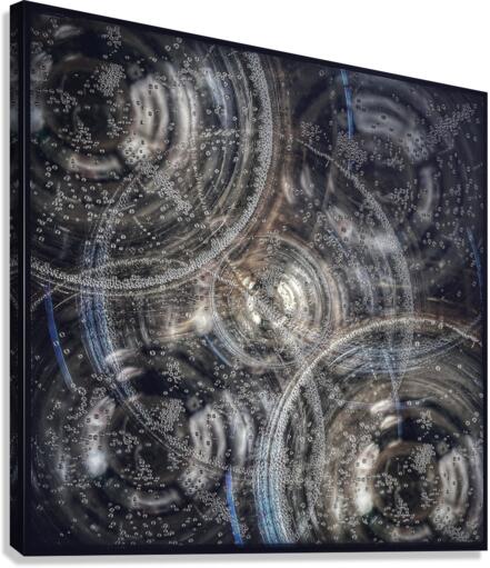 V680 Canvas Print