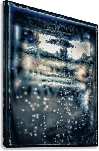V689 Canvas Print
