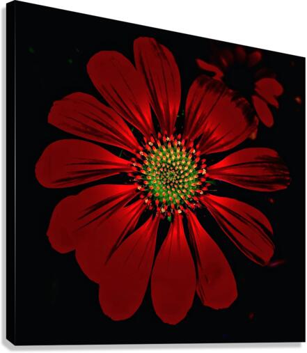 V690 Canvas Print