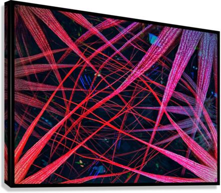 V697 Canvas Print