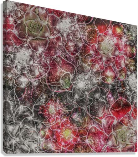 V699 Canvas Print