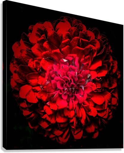 V700 Canvas Print