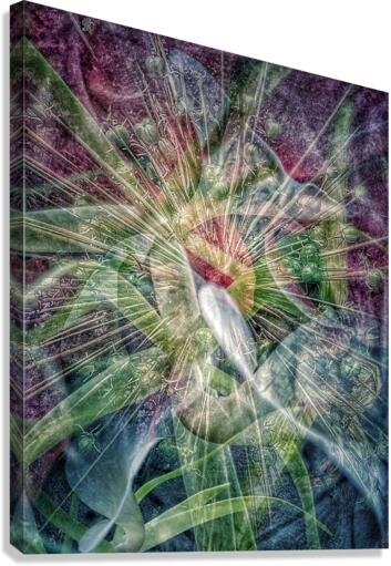 V701 Canvas Print