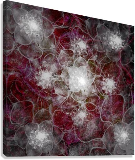 V702 Canvas Print
