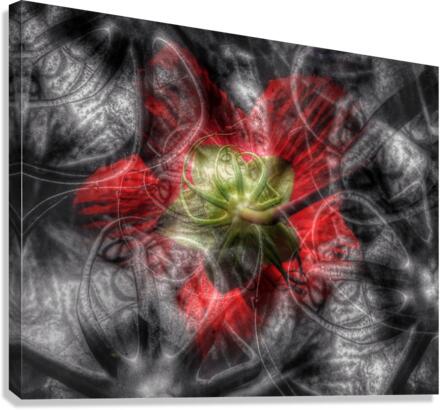 V703 Canvas Print