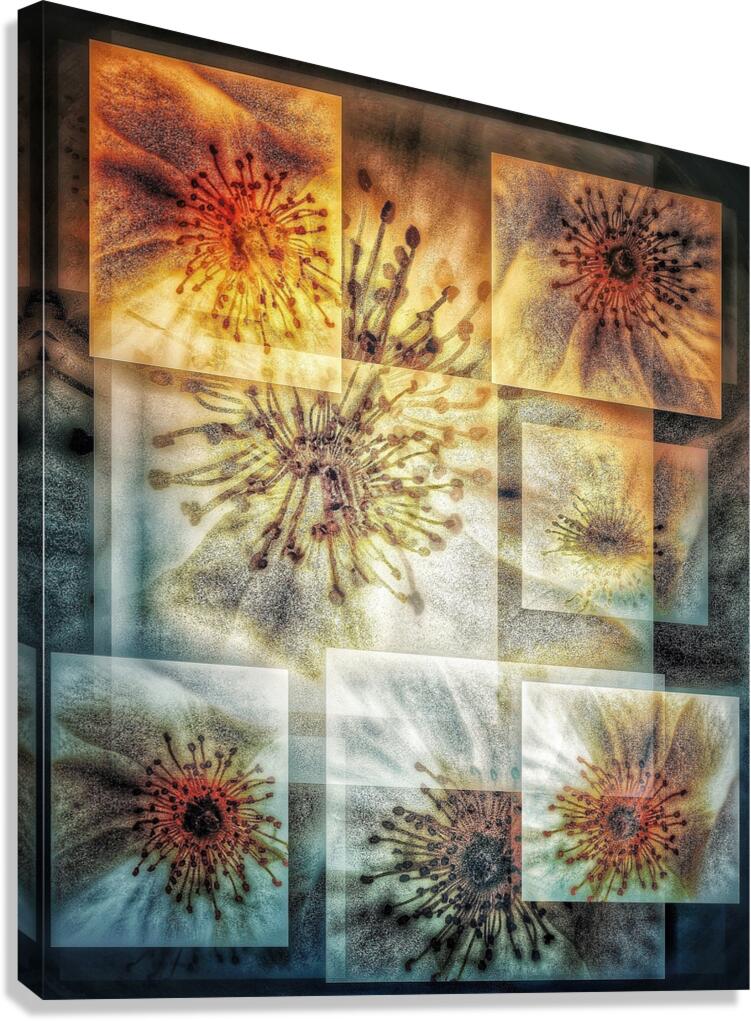V704 Canvas Print