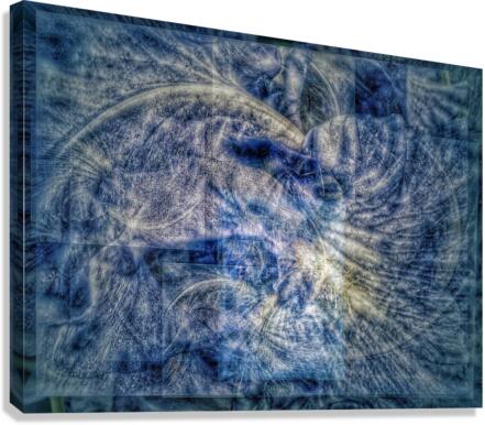 V705 Canvas Print