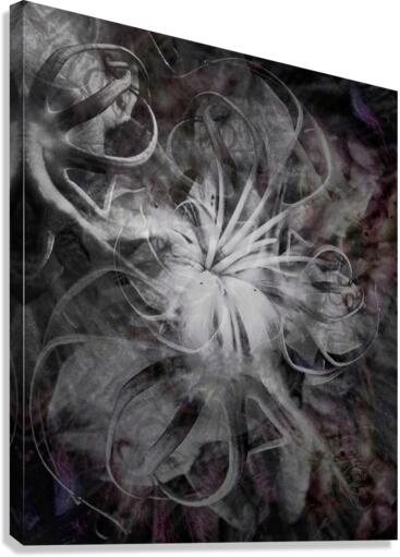 V706 Canvas Print