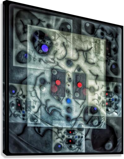 V712 Canvas Print