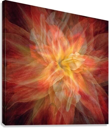 V713 Canvas Print