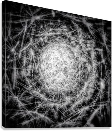 V717 Canvas Print