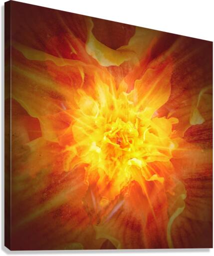 V718 Canvas Print
