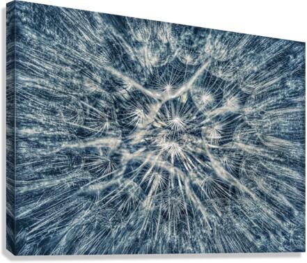 V722 Canvas Print