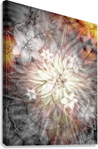 V723 Canvas Print