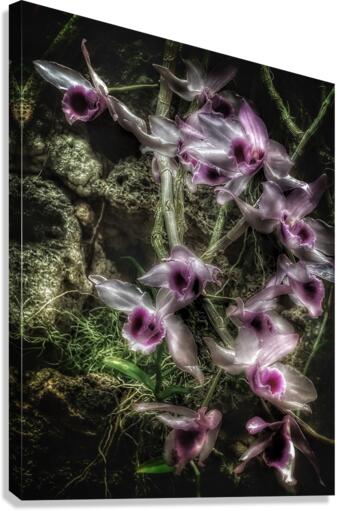 V728 Canvas Print