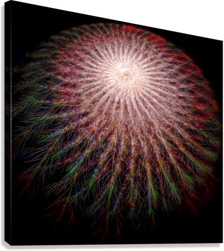 V729 Canvas Print