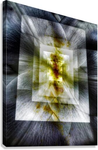 V731 Canvas Print