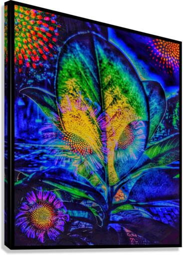 V732 Canvas Print