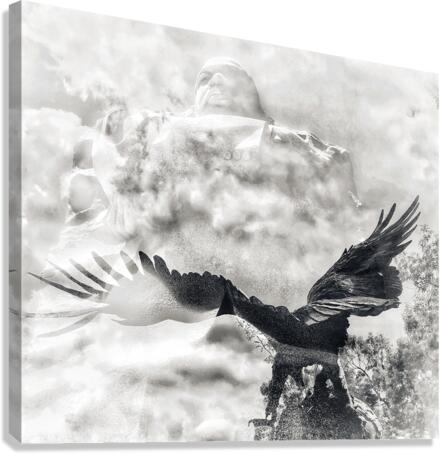 V733 Canvas Print
