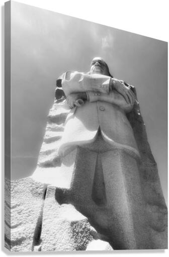 V735 Canvas Print