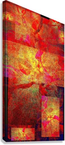 V737 Canvas Print