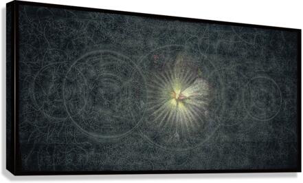 V738 Canvas Print