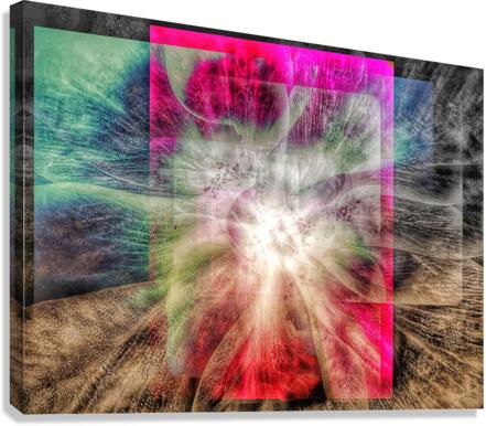 V739 Canvas Print