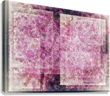 V740 Canvas Print