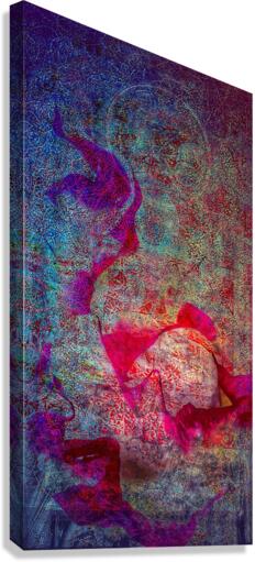 V741 Canvas Print