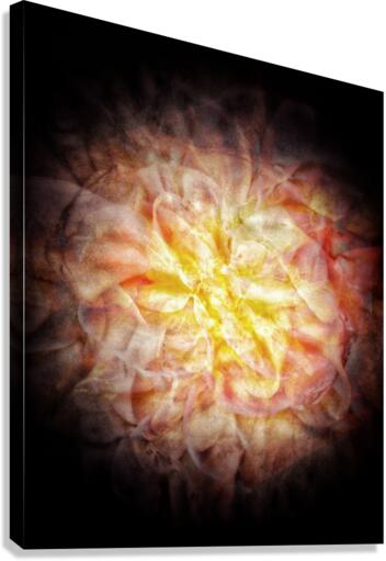 V742 Canvas Print