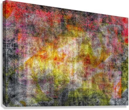 V743 Canvas Print