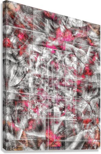 V744 Canvas Print