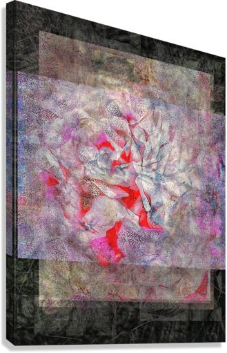 V745 Canvas Print