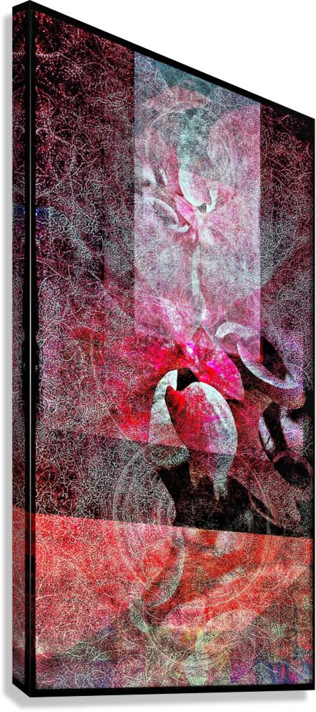 V747 Canvas Print
