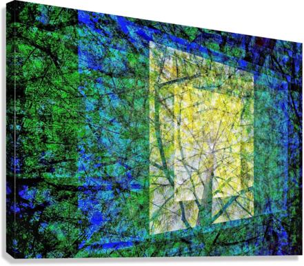V749 Canvas Print
