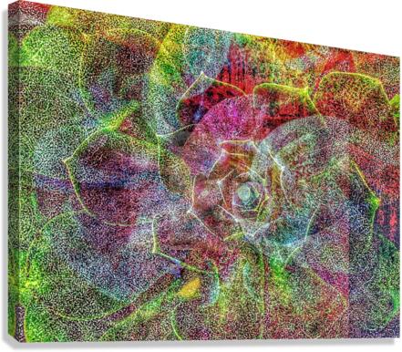 V750 Canvas Print