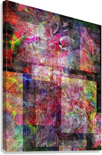V752 Canvas Print
