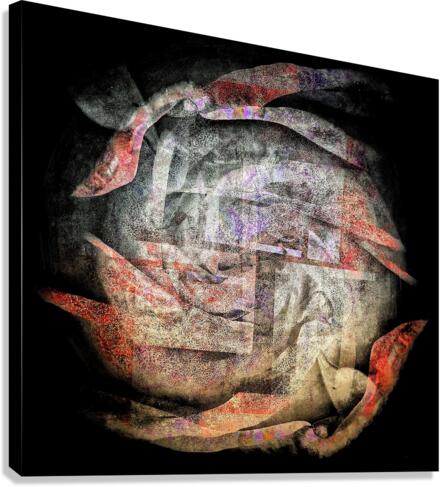 V753 Canvas Print