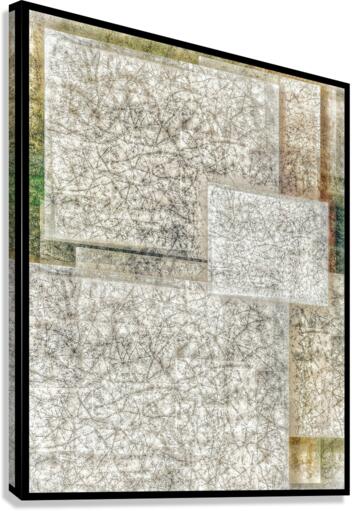V754 Canvas Print