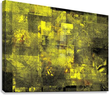 V755 Canvas Print