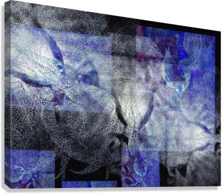 V756 Canvas Print