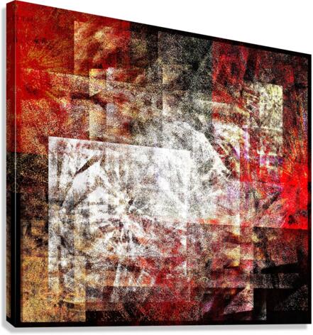 V763 Canvas Print