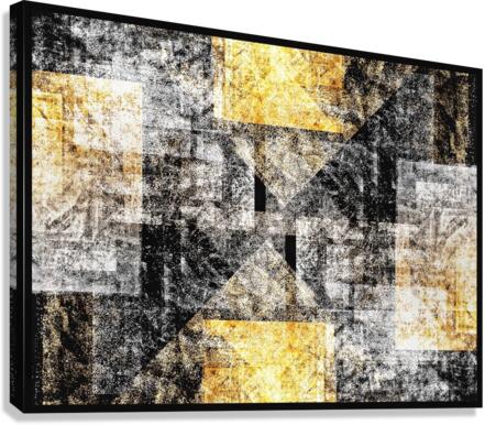 V764 Canvas Print