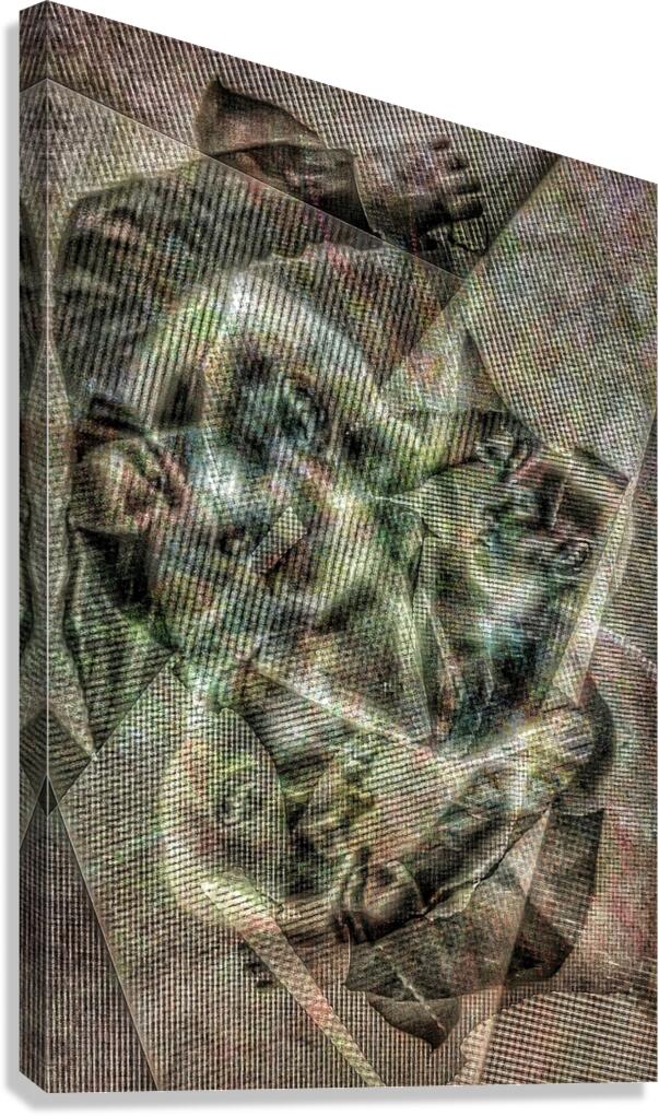 V768 Canvas Print
