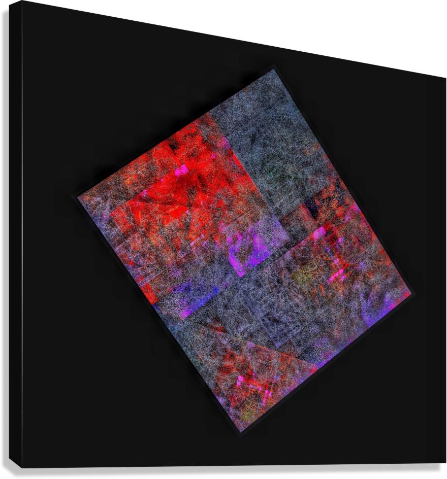 V769 Canvas Print